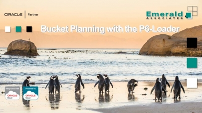 Bucket Planning with the P6-Loader